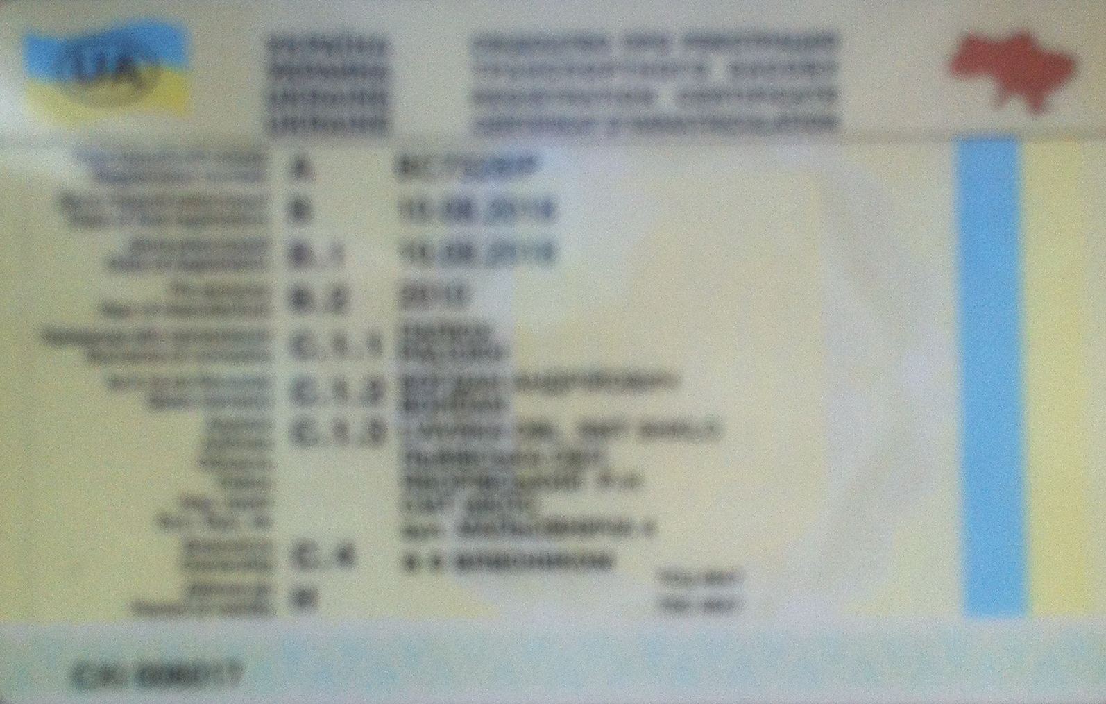 Luckfind фото объявления.