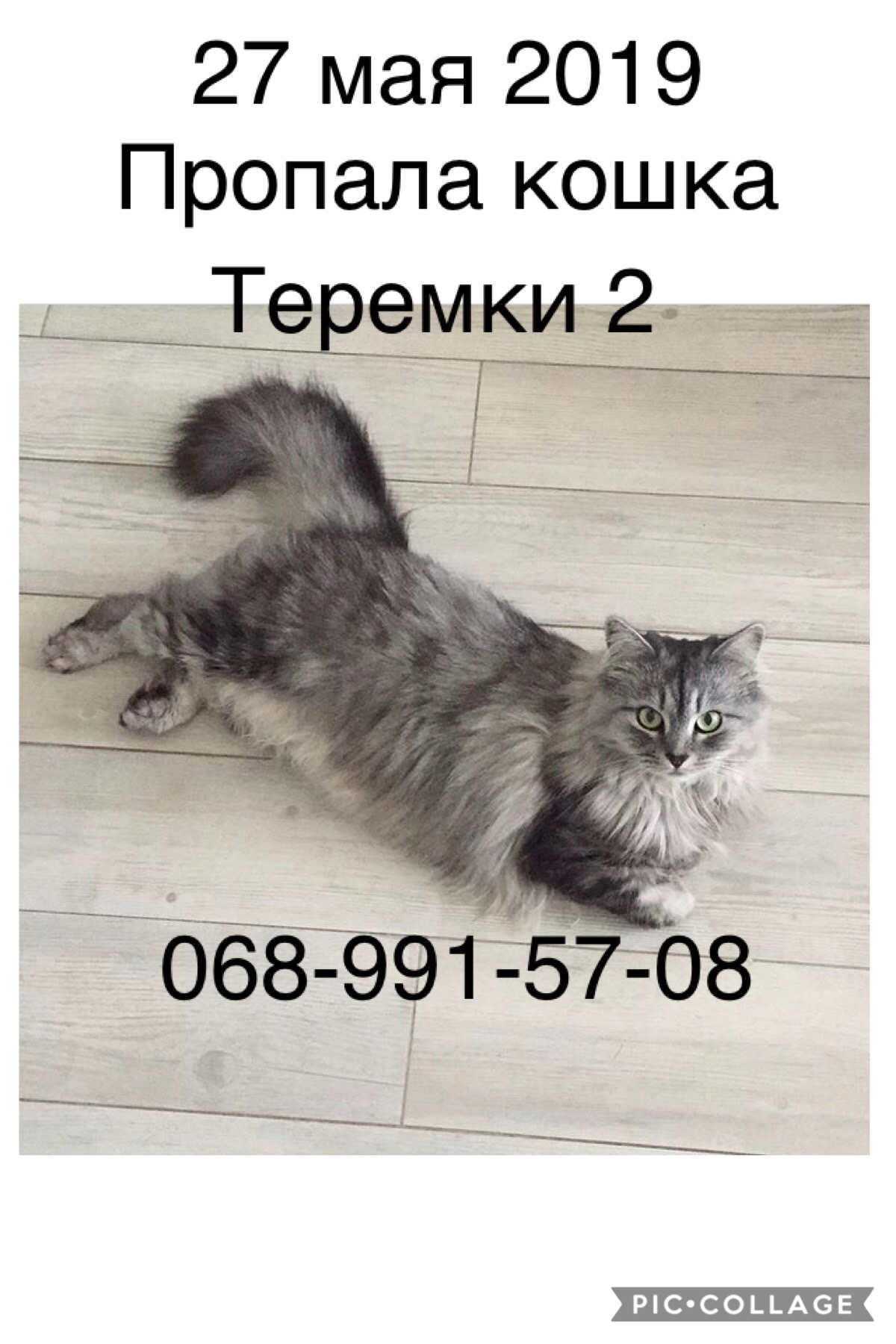 Luckfind фото объявления.