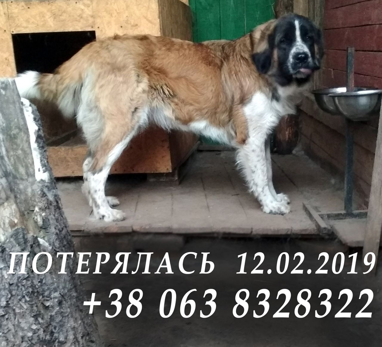 Luckfind фото объявления.